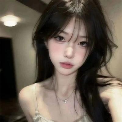 追星星的人第三季